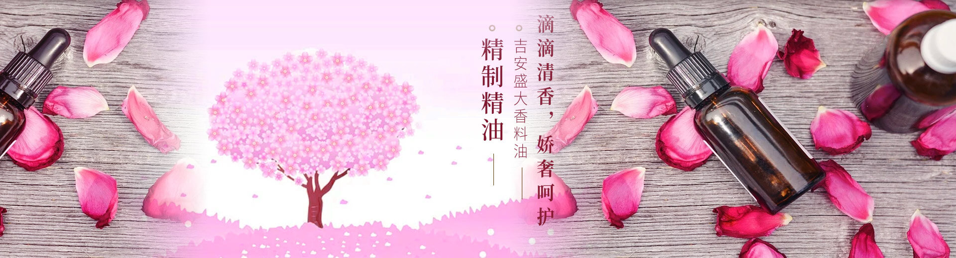 寧波市科力電源有限公司